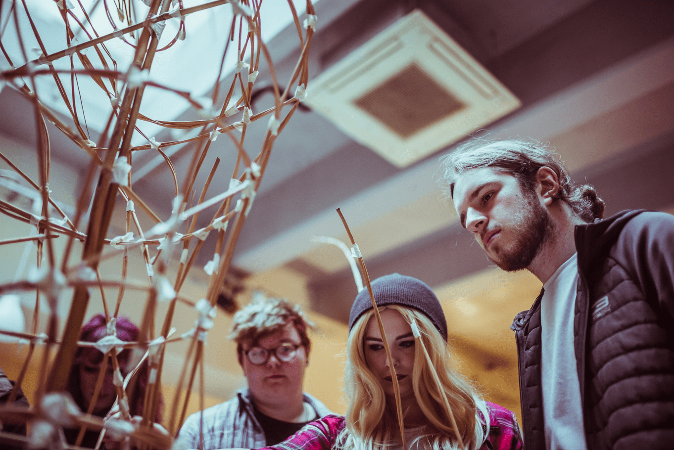 Creative Case for Diversity: An Introduction