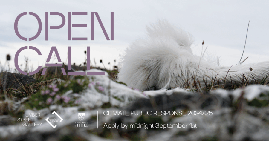 Humber Street Gallery and University of Hull Climate Public Response 2024/25